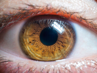 close up of human eye