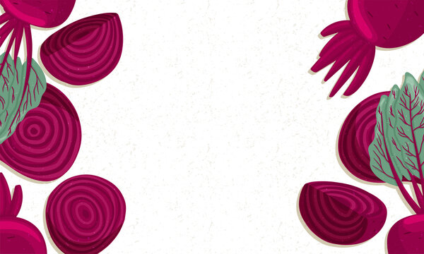 Autumn beet border vector cartoon illustration. Violet beetroot horizontal banner.
