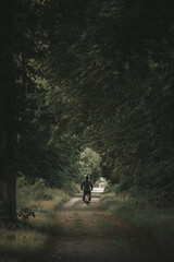Exploring the forest by moped, lonely journey by motorbike through the forest, guy on moped driving down a dirt road