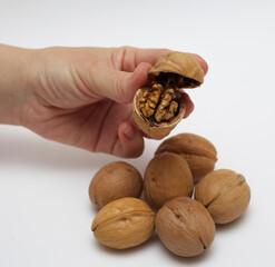 Macro photo of the walnuts. One broken walnut. Tasty vegan nuts. Organic diet food. Healthy delicious. Holding one nut in the arm. White backdrop.