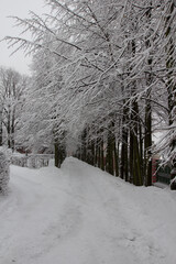 snow covered road