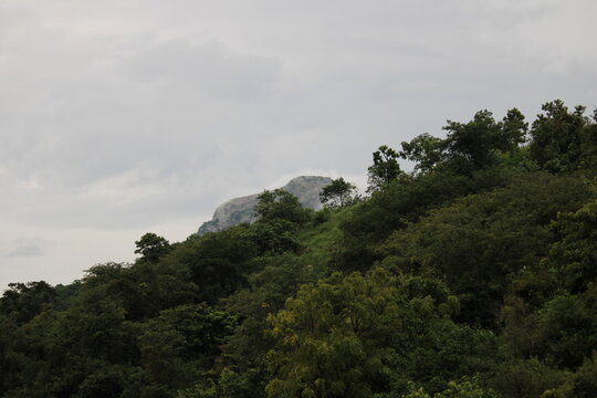 clouds over the forest