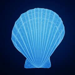 3d rendering of a sea shell