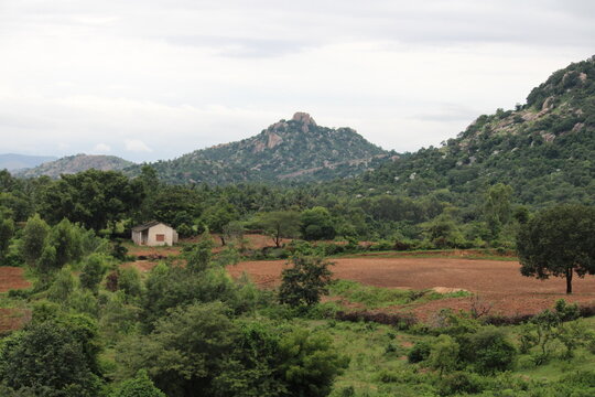 mountain landscape with trees and clouds