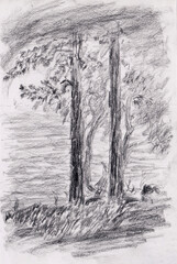 Fototapeta na wymiar Charcoal pencil stock illustration of forest scenery with two trees on the foreground. Atmospheric nature picture for backgrounds, postcards, packaging or decoration. Hand draw nature scenery.