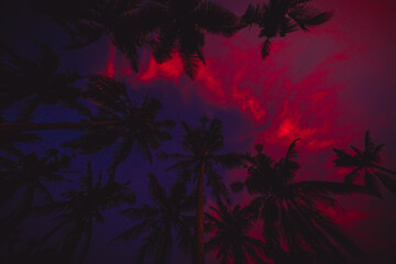 Fototapeta na wymiar Bright background of tropical coconut palms with sunset sky
