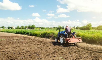 Obraz premium Farmer drives a tractor with a milling machine. Loosening surface, cultivating the land. Farming, agriculture. Loosens, grind and mix soil on plantation field. Field preparation for new crop planting.