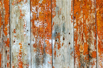 Old wood planks, perfect background for your concept or project.