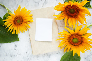 Blank greeting card and yellow sunflower flowers on white concrete background. Summer layout with place for text. Feminine Mediterranean flat lay, top view.