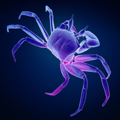 3d rendering of a crab