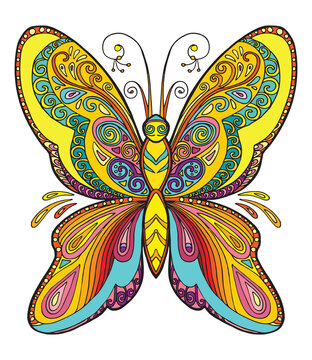 Butterfly coloring vector