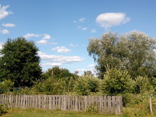 Fototapeta premium wooden fence and trees
