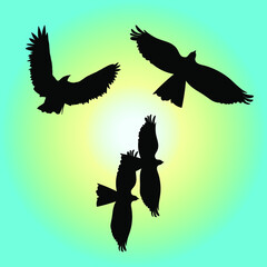 vector illustration of a flying eagle in the sky