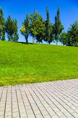 Stone walkway, lawn and trees in the park