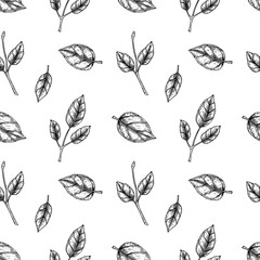Vintage seamless pattern with hand drawn falling leaves and branches. Vector illustration in sketch style.