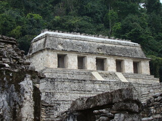 Fototapeta na wymiar MEXICO, PALENQUE IN THE FOREST.