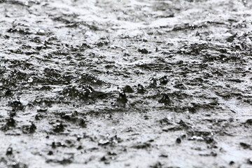 Water surface with ripples and water plants.