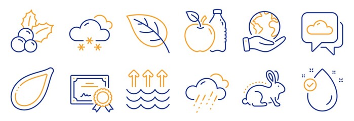 Obraz premium Set of Nature icons, such as Vitamin e, Leaf. Certificate, save planet. Snow weather, Pumpkin seed, Weather forecast. Evaporation, Animal tested, Christmas holly. Apple line icons. Vector