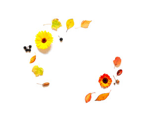 Colorful Autumn leaves,berries and calendula flowers frame on the white background. Harvest concept flat lay. Copy space