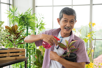Senior asian retirement old man in casual outfit doing a hobby with happy and relax gardening and watering tree plant in greenhouse garden farm