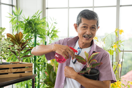 Senior Asian Retirement Old Man In Casual Outfit Doing A Hobby With Happy And Relax Gardening And Watering Tree Plant In Greenhouse Garden Farm