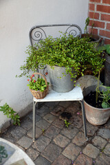 Stuhl mit Pflanzenschmuck