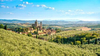 Vinci, Leonardo birthplace, village and olive trees. Florence, Tuscany Italy - obrazy, fototapety, plakaty