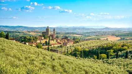 Fotobehang Toscane Vinci, Leonardo birthplace, village and olive trees. Florence, Tuscany Italy  © stevanzz