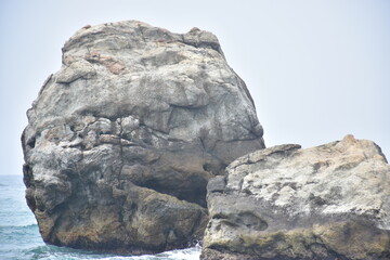 rock in the beach