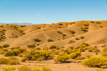 Countryside Landscape, San Juan Province, Argentina