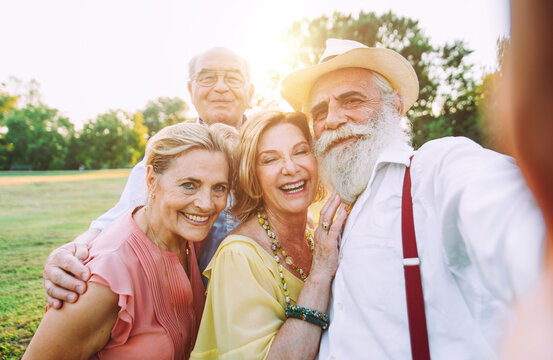 Group of seniors making a picnic at the park and having fun
