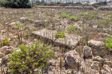 A gravestone  in an abandoned Templar cemetery near the Chateau fortress in the city of Atlit in northern Israel