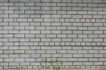 White brick wall background. Brick wall background