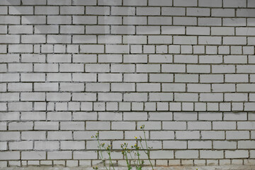 Obraz premium White brick wall background. Brick wall background