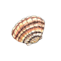 Ocean life  watercolor icons isolated on white background