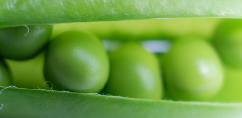 Pods of green peas with pea leaves and flowers isolated on a white background. Organic food.