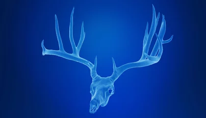 Foto op Plexiglas deer head skeleton - 3D illustration © Andrus Ciprian