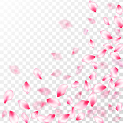 Spring tree flowers parts, airy flying petals