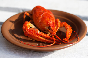 red lobster on a plate