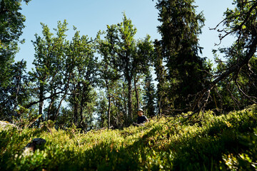 Fototapeta premium A little boy all alone in the big deep wild forest. 
