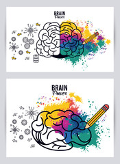 brains power templates with colors splash and pencil