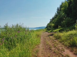 coastal road among green grass on a background of blue sky on a sunny day