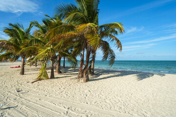 Beautiful Crandon Park Beach located in Key Biscayne in Miami