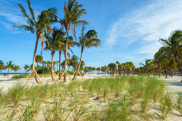 Beautiful Crandon Park Beach located in Key Biscayne in Miami