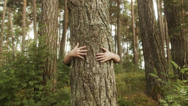 Arms Hugging a Tree In a Forest, showing Love and Care for Nature and Environment of Earth.