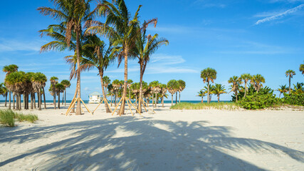 Beautiful Crandon Park Beach located in Key Biscayne in Miami