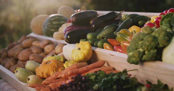 Vegetable counter at farmers market. Slider shot with lens flare fron sun