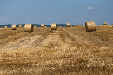 Fototapeta na wymiar Straw sheaves on the wheat field