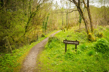 Path to pollnagollum cave with wooden  sign board on the side of the road surounded by green...