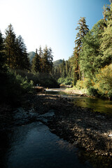 Fototapeta premium Sol Duc River